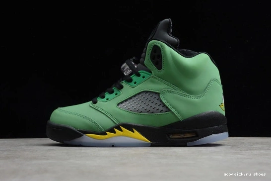 5 SE CK6631-307 OREGON AIR CK6631-307 JORDAN RETRO 0301